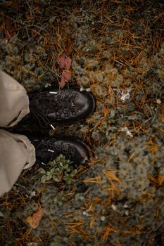 长满青苔的森林地面上，一双靴子自上而下地立着，四周散落着秋叶和松针