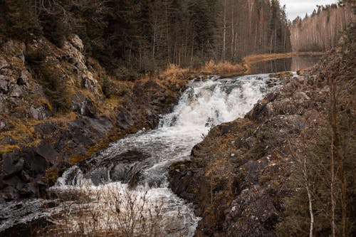 Ilmainen kuvapankkikuva tunnisteilla alavirtaan, joki, juokseva vesi