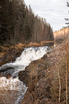 A peaceful waterfall cascades through a rocky forest setting, capturing nature's tranquility.