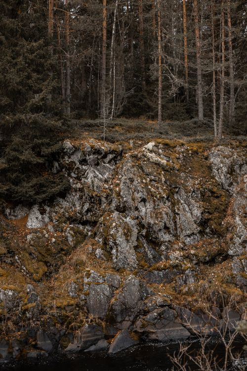 Free A rugged rocky cliff adjacent to a forested riverbank, showcasing natural textures. Stock Photo