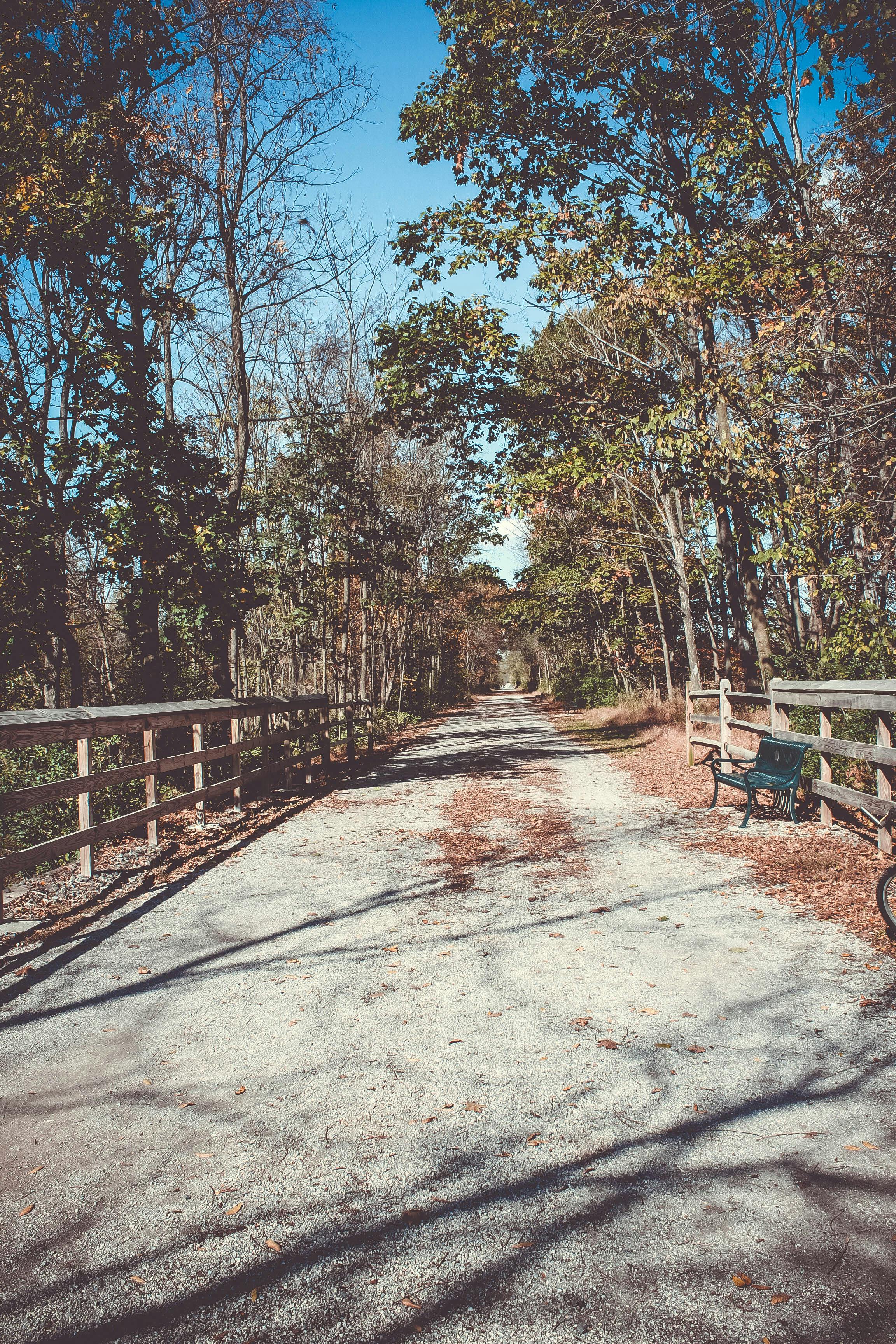 Free stock photo of autumn leaves, blue skies, blue sky - 1200 x 627 jpeg 241kB