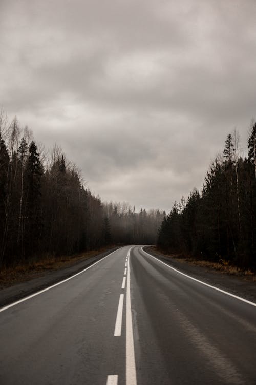 고속도로, 나무, 도로 표시의 무료 스톡 사진