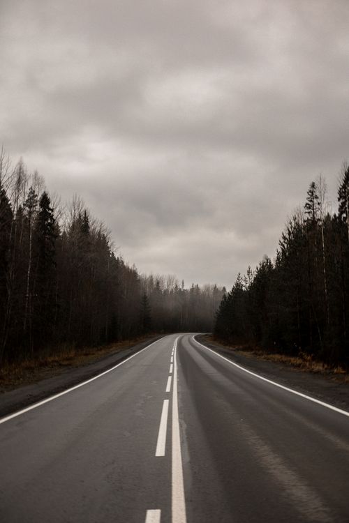 Free A deserted road winds through a misty forest under an overcast sky, creating a moody atmosphere. Stock Photo