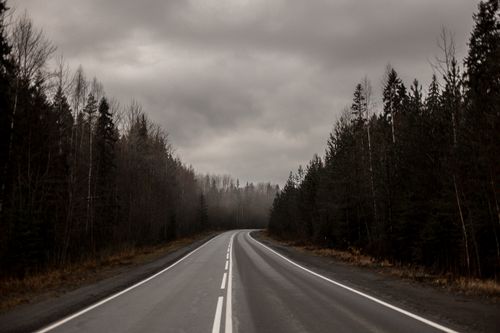 Free Desolate road through misty forest with cloudy skies, creating a dramatic and moody atmosphere. Stock Photo