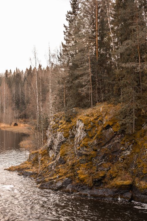 Free Peaceful riverbank landscape featuring lush evergreens and rocky cliffs. Stock Photo