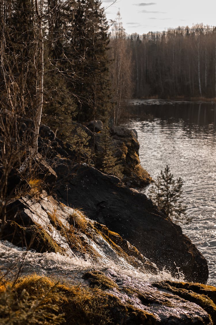 Small Waterfall, Forest And River