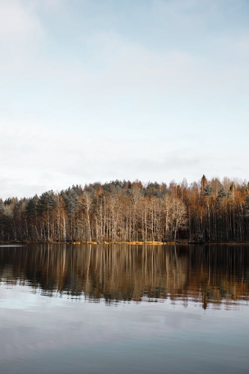 Foto stok gratis alam, berdesir, danau
