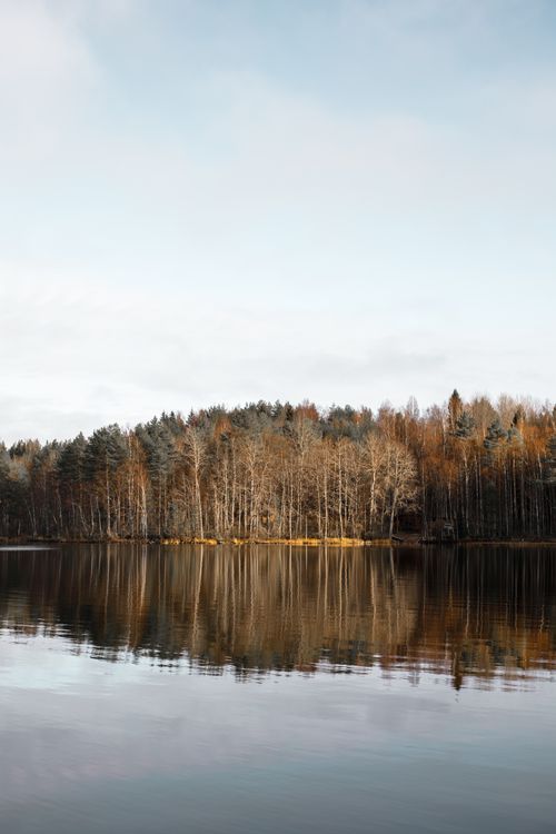 Free Peaceful lake reflecting autumn trees under a clear sky, capturing tranquility and natural beauty. Stock Photo