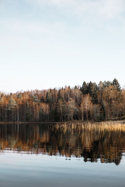 Free Serene fall scene of a lake with a forest reflection and a calm sky. Stock Photo