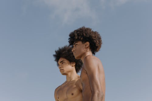 afrikalı amerikalı erkekler, afro saç, çıplak göğüs içeren Ücretsiz stok fotoğraf