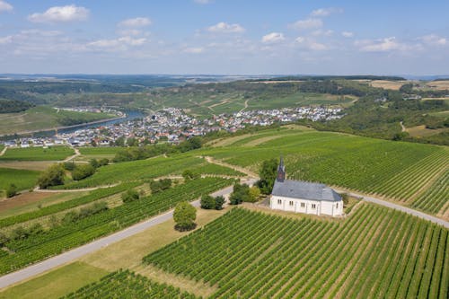 Green fields near village and houses