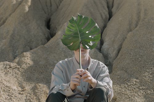 A Person Covering his Face with a Monstera Leaf