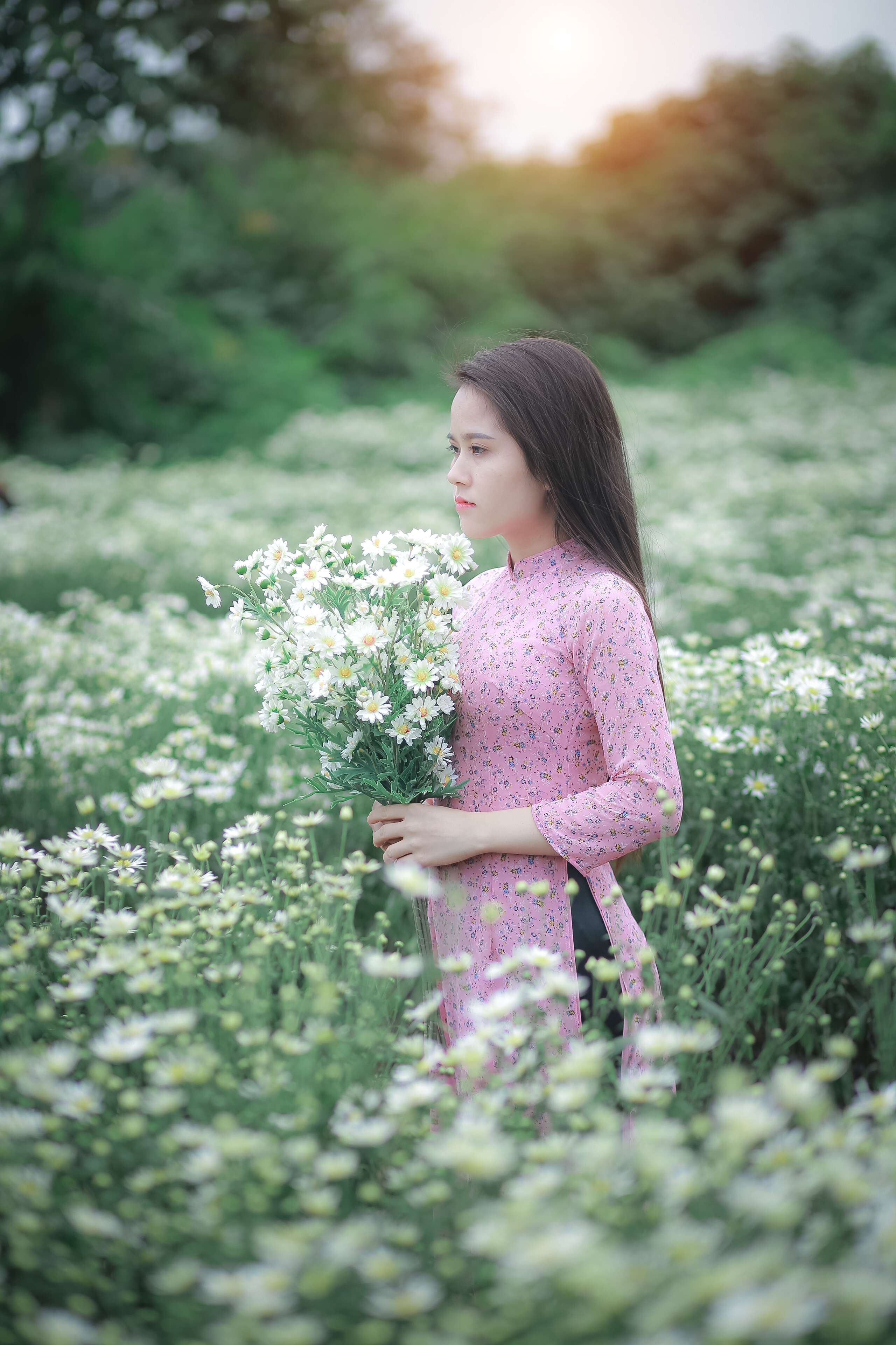 Woman in a Pink Dress in a Flower Field · Free Stock Photo