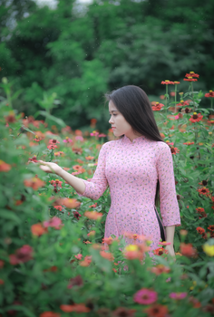 在郁郁葱葱的花田里，一位穿着传统粉色连衣裙的优雅女人
