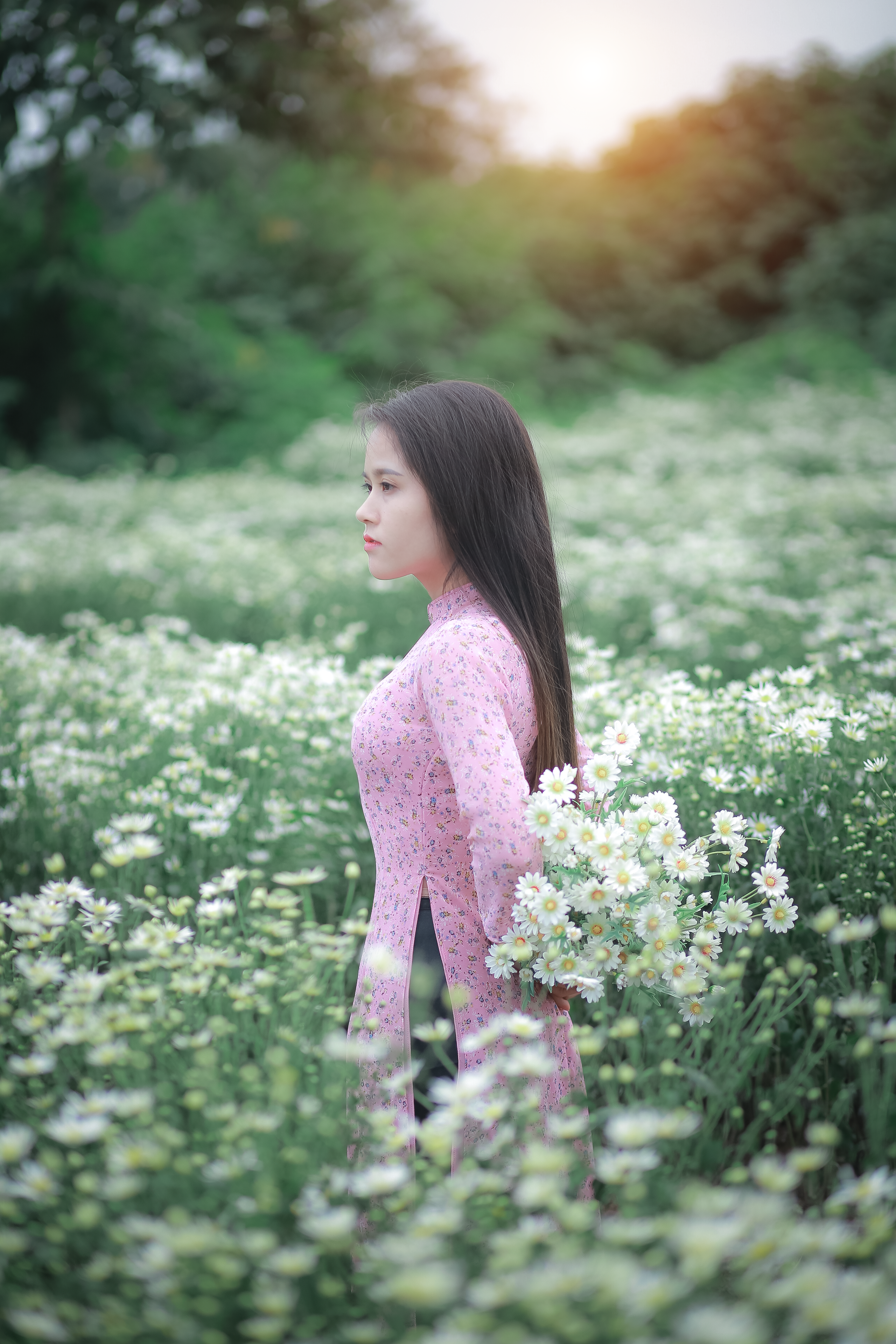 Young Woman in a Pink Dress on a Flower Field · Free Stock Photo