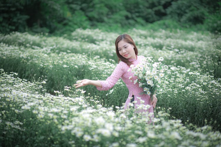 Woman In Pink Dress Picking White Flowers