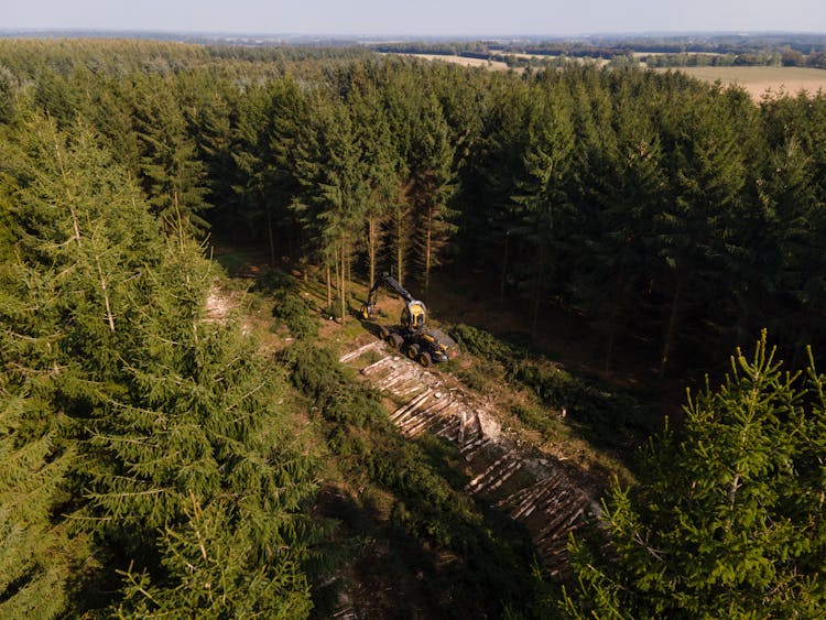 Drone Shot Of A Tree Harvester In A Forest