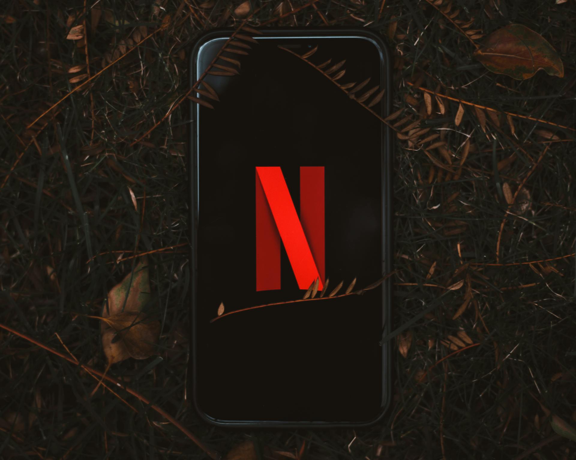 Netflix Logo on Smartphone Screen