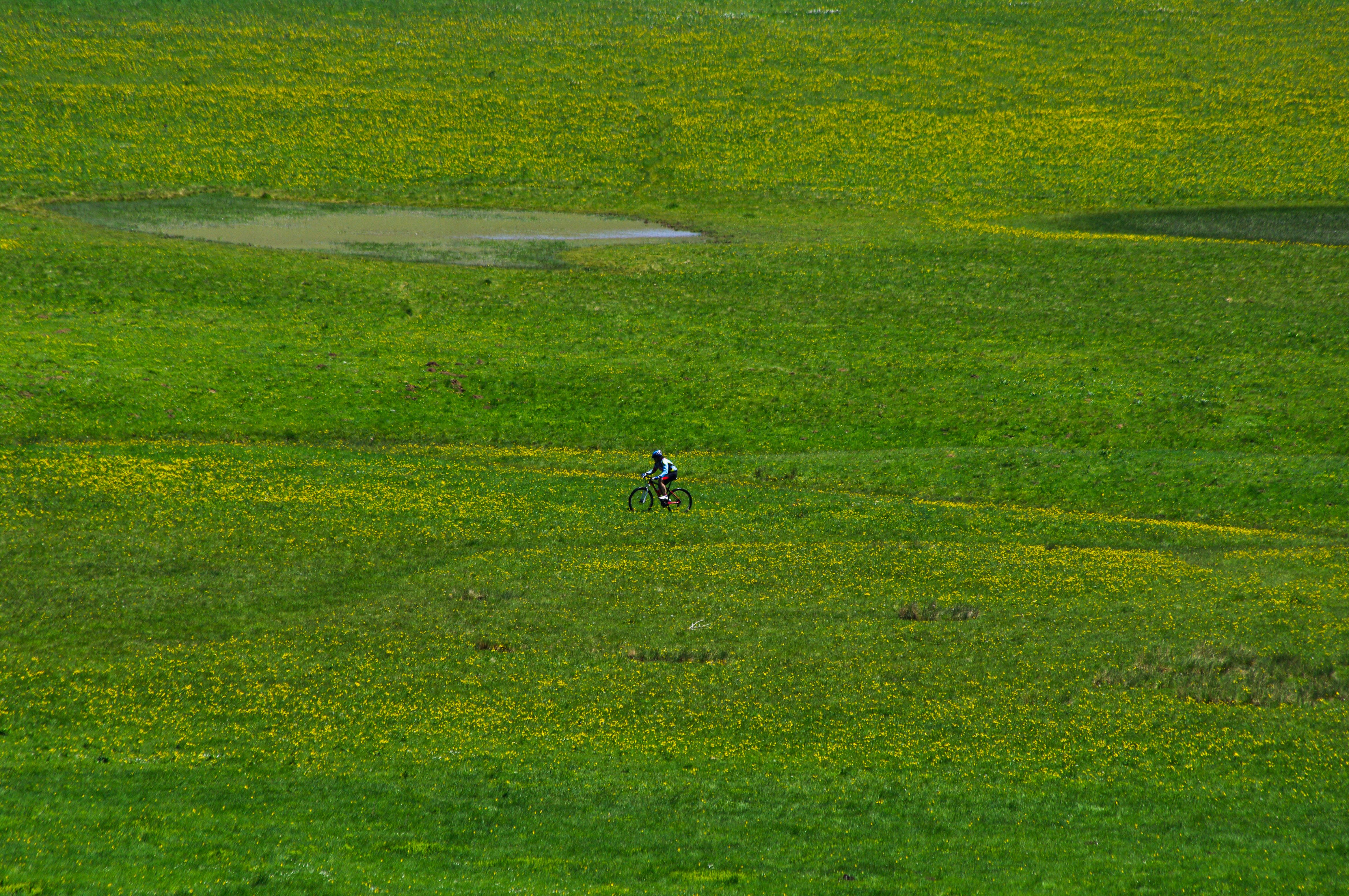 Radtouren durch eine grüne Wiese mit gelben Wildblumen unter freiem Himmel