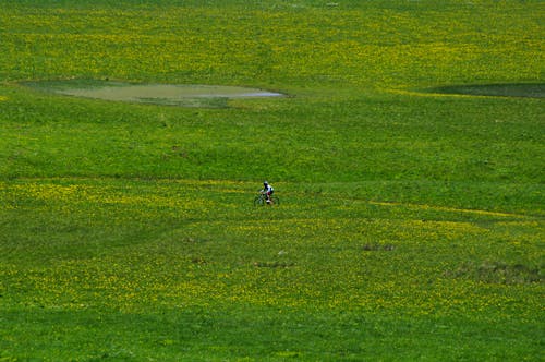 De franc Foto d'estoc gratuïta de anant amb bici, camp, camp verd Foto d'estoc