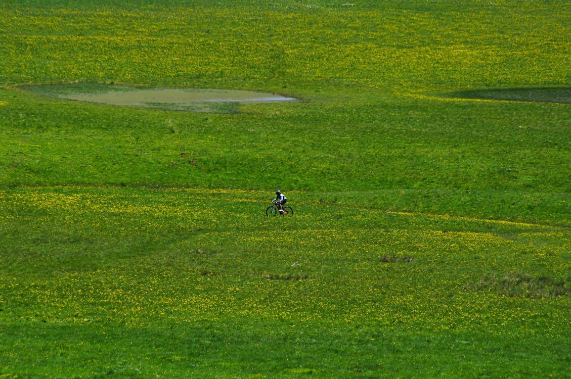 Person Riding a Bicycle on the Green Grass Field