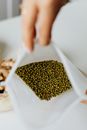 Green Gram Beans in White Pack