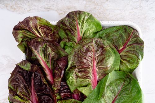 Free Vibrant red leaf lettuce on display in a white tray, perfect for salads. Stock Photo