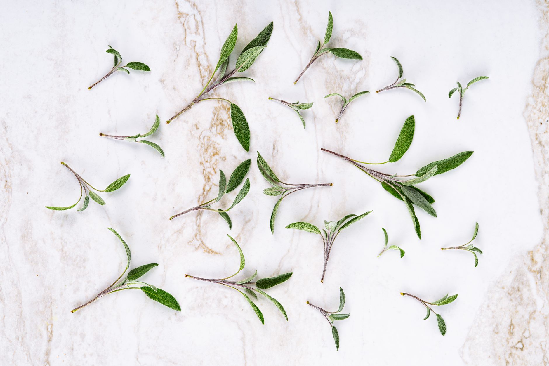 Top view of fresh sage leaves arranged on a marble background.