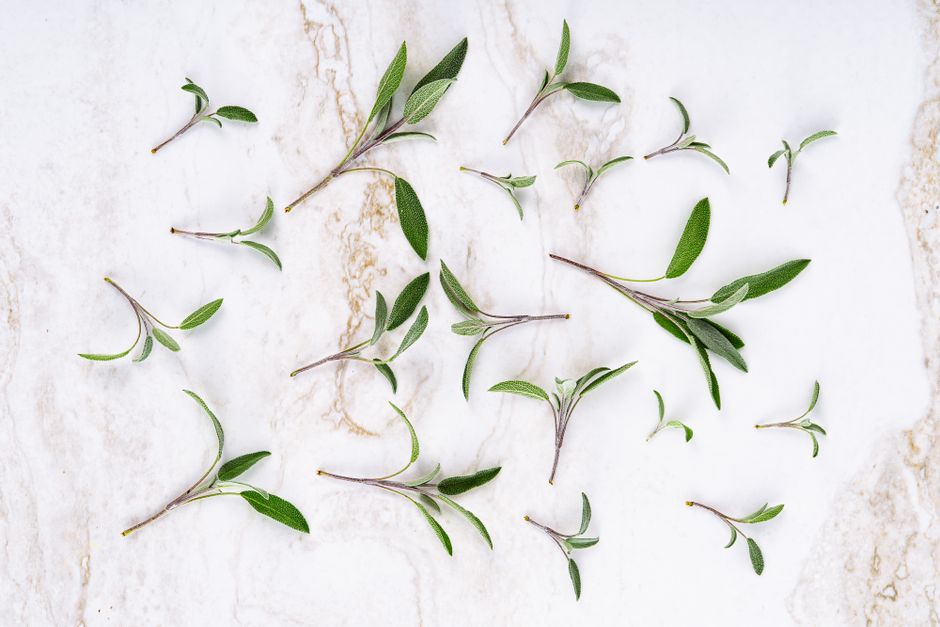 Top view of fresh sage leaves arranged on a marble background.