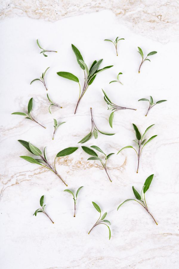 Flat lay of fresh sage leaves on marble — AI25.Studio on Pexels
