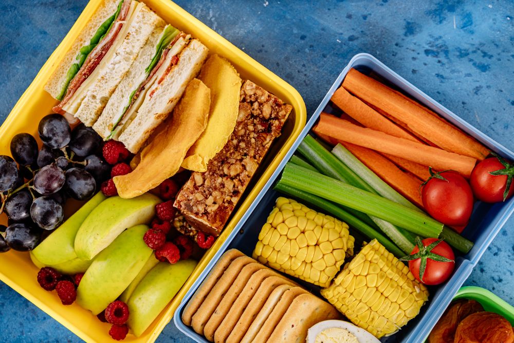 Packed lunch box with sandwiches vegetables and fruit