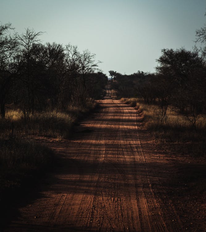 Landscape Photography of a Dirt Road
