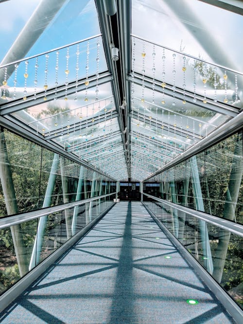 The Glass Walkway of the Orlando Science Center