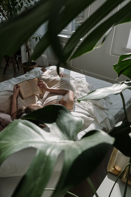 A woman lies in bed reading a book, surrounded by greenery and natural light.
