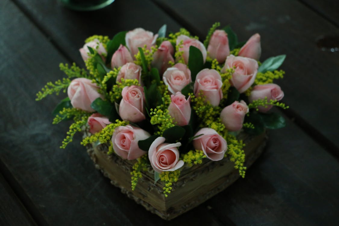 Gratis arkivbilde med blomster, blomsterarrangement, blomstre