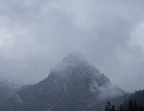 Free stock photo of mountain, snow, washington
