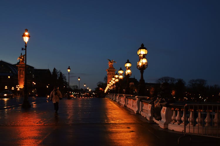 Landscape Photography Of The Pont Alexandre III