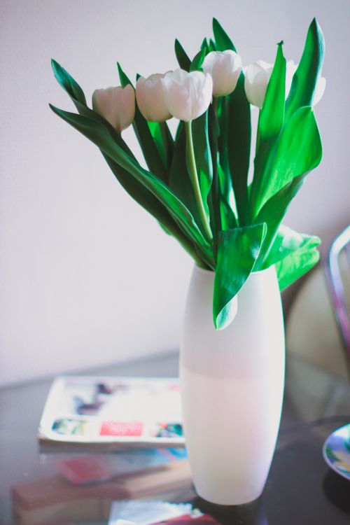 Free Stylish white tulips arranged in a sleek ceramic vase, adding fresh decor to any space. Stock Photo
