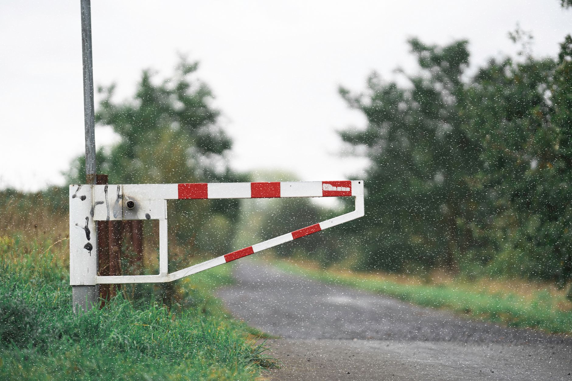 The DIY Approach: A Closer Look — key takeaways