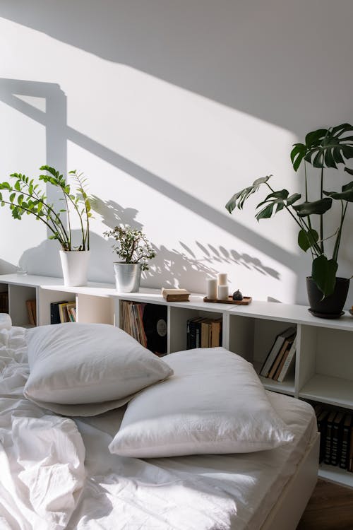 White Bed and Pillows Near White Wooden Bookshelf