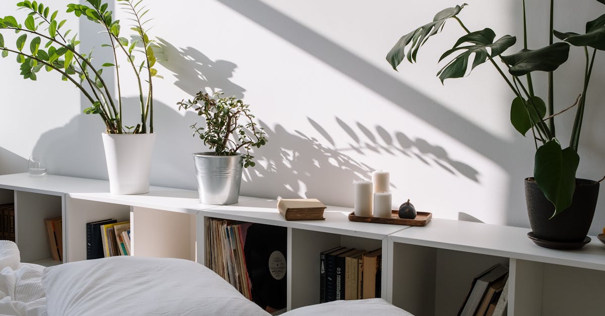 全民防潮防霾大作戰開始 家電 軟裝與建材全方位提升居家舒適度