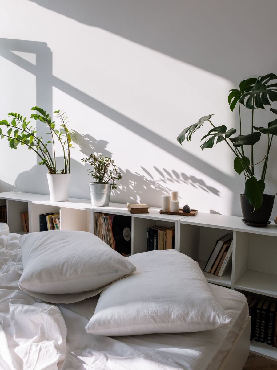 A bright, airy bedroom with plants, books and soft daylight.