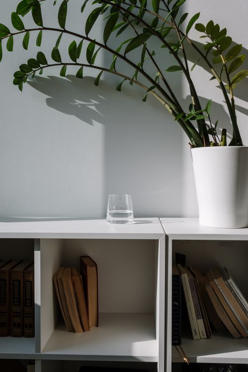 Free Minimalist interior scene with books, potted plant, and light play on a white shelf. Stock Photo