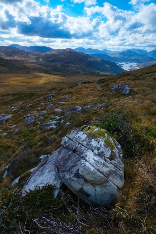 Foto stok gratis gunung torc, Irlandia, kerry county