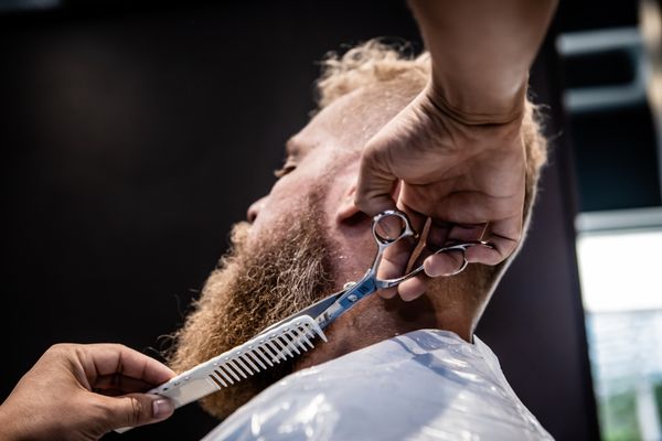 Detailed beard grooming