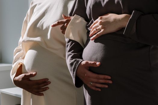2 Pregnant Woman in Long Sleeve Dresses
