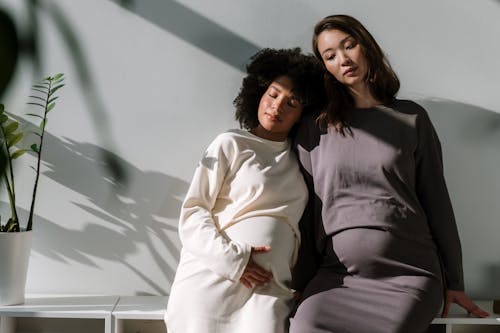 2 Pregnant Women Sitting on Bookshelf