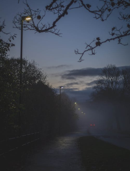 Photo of Street Lights Near a Foggy Road