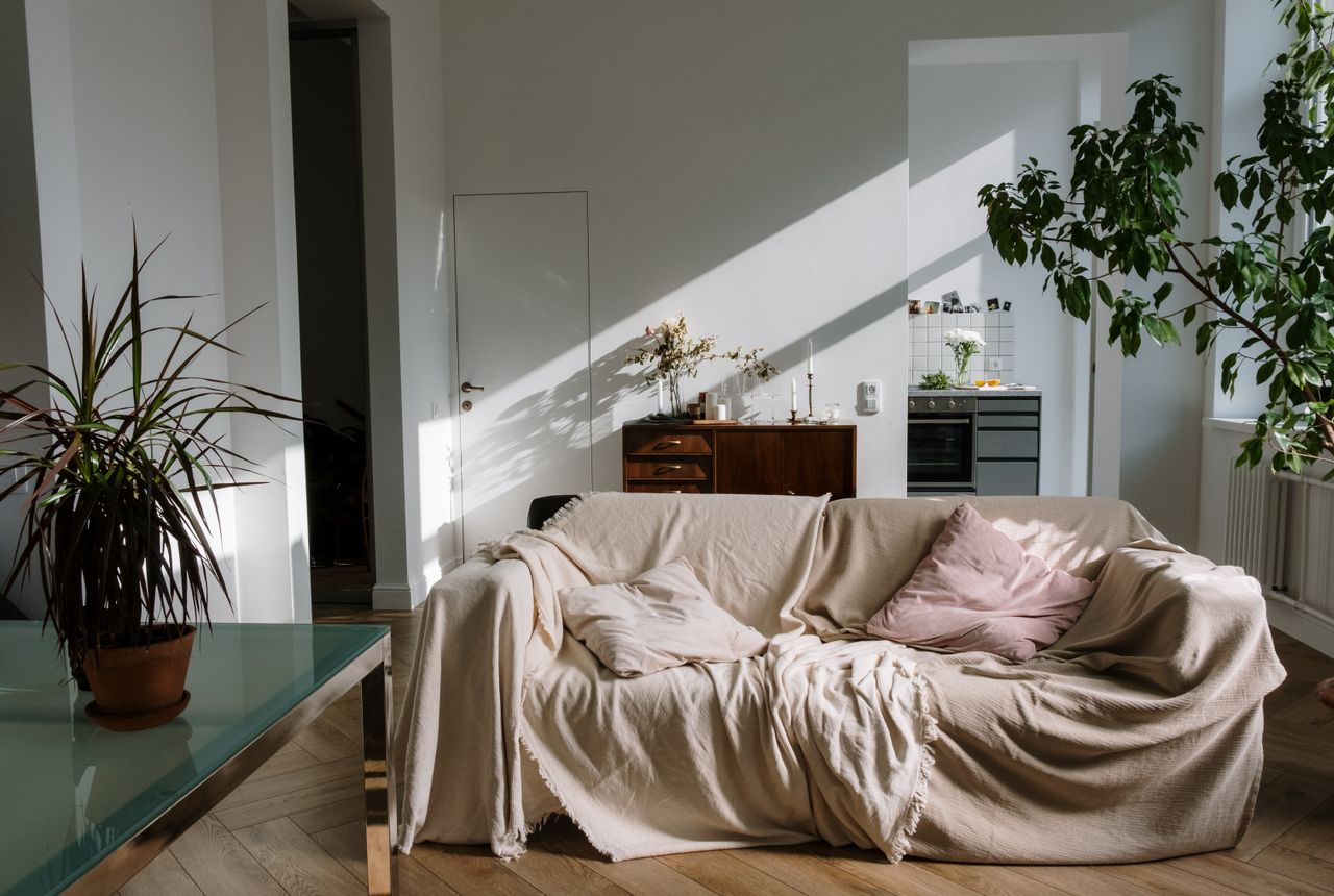 Packing services Sutton — removals work in progress