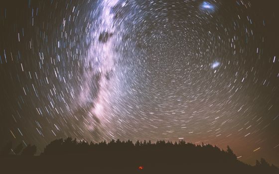 这张迷人的长曝光照片拍摄了夜间树木轮廓上方的星轨和银河